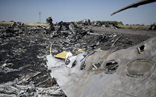 MH17空難已一年 遇難者家屬討說法