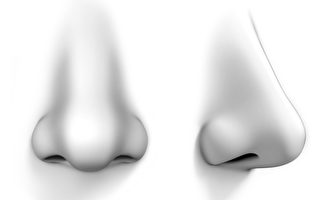 鼻子是五官的一部分，除了美觀，還具有呼吸、嗅覺及保護的三大功能。(Fotolia)