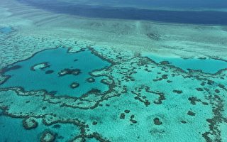 大堡礁脱离濒危名单 澳洲喊赞