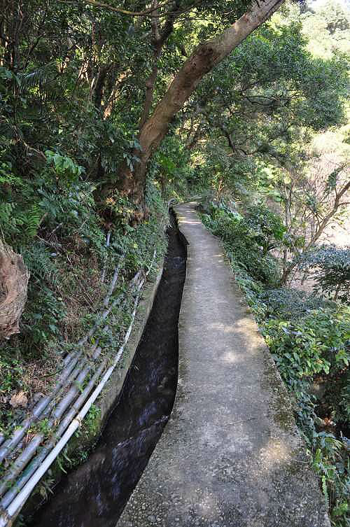 北市北投 拐圳步道 顶圳步道 风尾步道 Tony 大纪元