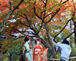 全球最棒旅游城市 日京都连两年夺冠