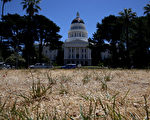2014年6月18日，加州州议会大厦前的草坪。(Photo by Justin Sullivan/Getty Images)