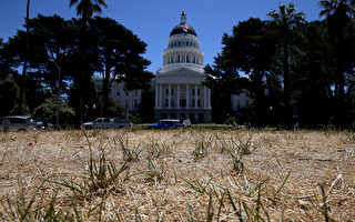 州长布朗签署法案 禁止惩罚黄草坪业主
