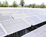 「水上飄」太陽能電池 支撐起北加州世紀酒莊
