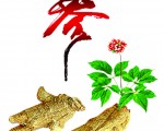 威州3G花旗參 7月逢百送 多買多送