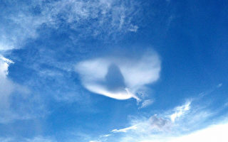 近日午后对流云系旺盛，降雨后云的变化多端，斗六出现“鸽子云”，嘉义气象站30日表示，对流云作用，瞬间出现类似动物、人物等各种形状的云都有可能。（民众提供）