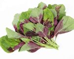 吃莧菜差點丟命 感光蔬菜不能吃？