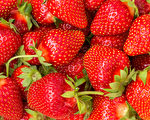 新鮮的草莓（Fotolia）
