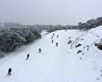 2022冬奥会 北京或使用假雪