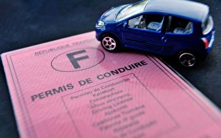 法國司法部提案：無證駕駛不屬犯罪 僅罰500歐