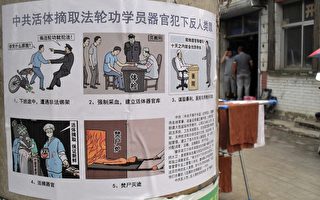 河北廊坊大街小巷随处可见“诉江”标语