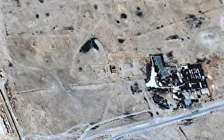 IS再下毒手 毀敘利亞巴邁拉貝爾廟古蹟