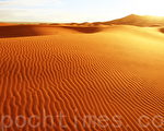 阳光烁金撒哈拉沙漠奇丽绝色。（Fotolia ）