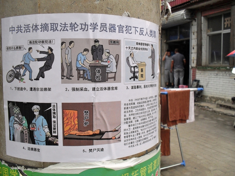 在河北廊坊市的大街小巷、公園、十字路口、住宅區,人們常可見到「法輪大法好」、「真善忍好」、「全民起訴江澤民」、「停止迫害法輪功,把江澤民送上法庭」、「沒有共產黨才有新中國」等各類真相標語。明慧網八月十七日報導。(明慧網)