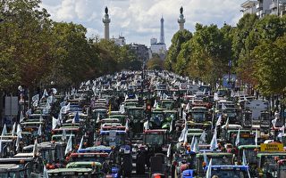 法国农民进巴黎抗议收入下降 失望还乡