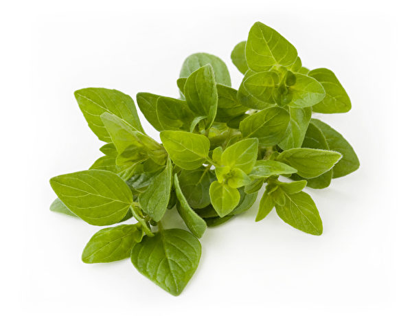 (Fotolia) (Fotolia)