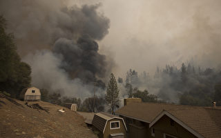 內華達山脈野火肆虐 威脅巨杉樹林