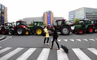 五千农民聚集欧盟总部 抗议农产品价格过低