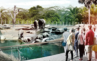 悉尼黑镇散养动物园 拟仿自然生态
