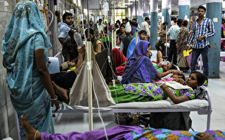 组图：印度爆发严重登革热疫情 病例近二千