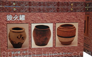 中医药文物图片展   让加拿大了解中医