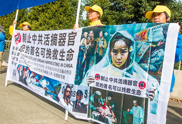 9月23日,部分法輪功學員在美國微軟總部門口,打出「法辦江澤民」「活摘法輪功學員器官天理不容」等標語,靜靜向將要前往微軟的習近平車隊和平請願。(馬有志/大紀元) 9月23日,部分法輪功學員在美國微軟總部門口,打出「法辦江澤民」「活摘法輪功學員器官天理不容」等標語,靜靜向將要前往微軟的習近平車隊和平請願。(馬有志/大紀元)