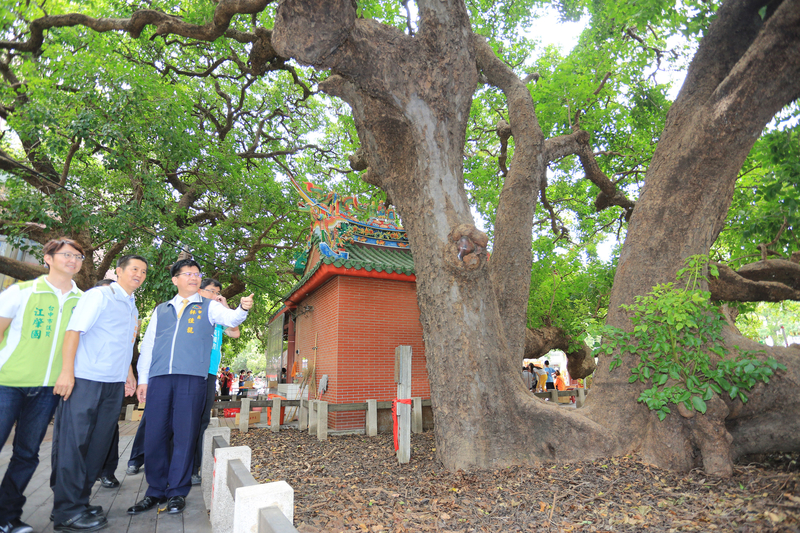 台中市千年茄苳樹王公恰逢在中秋節9月27日過生日,台中市長林佳龍(右)也以契子身分出席,感謝茄苳王公對土地的守護。(中央社)