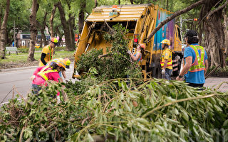 杜鵑颱風襲台 釀3死346傷