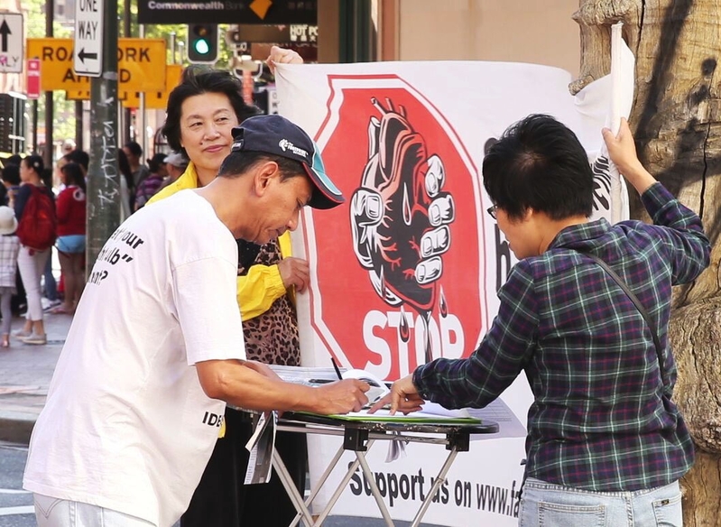 悉尼市民在中国城签名“制止中共活摘法轮功学员器官”。(明慧网)