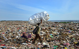 垃圾危機 印尼近3成魚吃塑膠