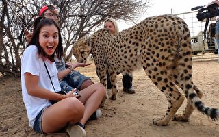 莎莎赴納米比亞圓夢 見獵豹感動哭了