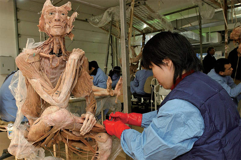 在美國舉辦「人體展覽」(Bodies The Exhibition)的展覽承辦方「第一展覽公司,2008年5月其網頁上刊登一份免責聲明。當時這個公司在紐約舉辦屍體展時,遭到很多美國人的強烈抗議,紐約總檢察長在進行調查後,責成Premier Exhibition公開向民眾聲明其屍體來源中國警方,該免責聲明不但免除了展覽公司的責任,也免了紐約警察的責任,但把疑問留給了公眾。(AFP)