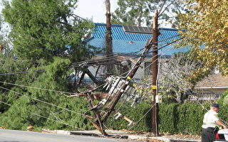 大风吹袭南加 洛县3.84万户停电