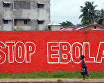利比里亞本週五（11月20日），又最新確診3個病例，意味著埃博拉疫情又重新抬頭。(DOMINIQUE FAGET/AFP PHOTO)