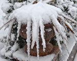 美中西部迎來首場大雪 感恩節出行需小心