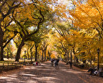 紐約中央公園秋色。（戴兵／大紀元）