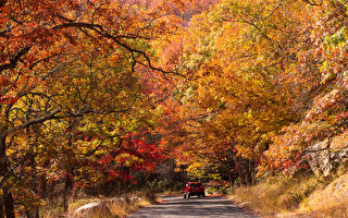 組圖：紐約上州熊山州立公園秋色