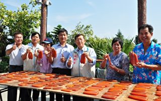 竹縣烏魚產業強強滾 產值破億