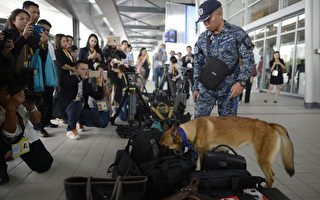 马尼拉APEC  安检严格出动防爆犬