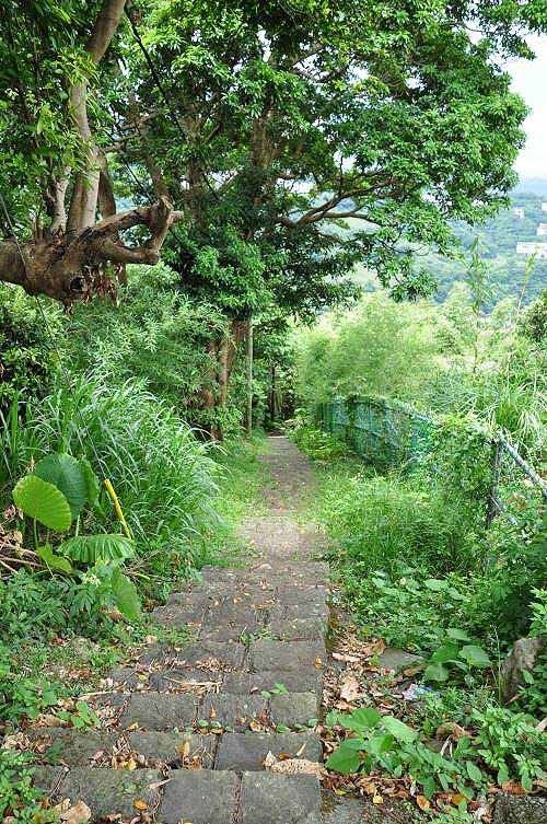 平菁步道，舊稱「平明步道」，是一條百年古道（大嶺路）。 (圖片提供:tony)