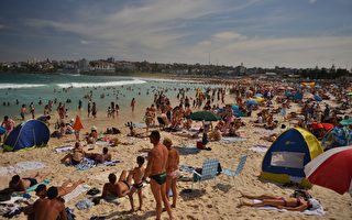 澳洲連續高溫本週五達頂峰 專家提醒避暑