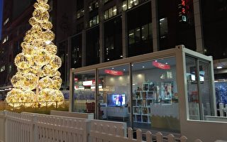 為「補償」節日輕軌建設紐省政府花15萬租聖誕樹遭譴責