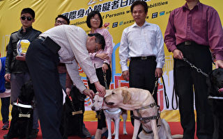 为肯定导盲犬贡献与努力，台北市长柯文哲（前左）28日亲颁“荣誉市犬”奖章给7只退役导盲犬，并说近来
恐攻让他觉得“对别人好，其实就是对自己好”，制造仇恨对自己终究非好事。（台北市政府提供）