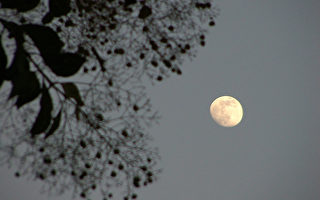 新诗：盐水溪畔的月色