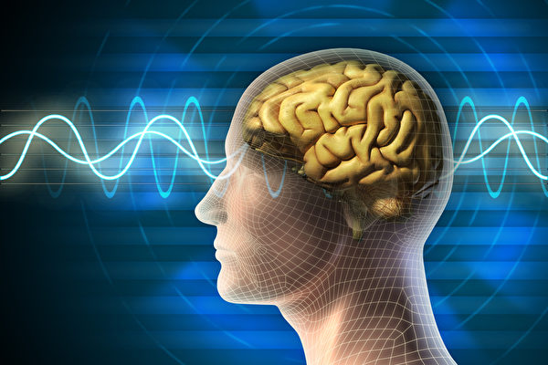 大腦衰老記憶減退原因 科學家揭示新理論