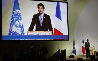 加拿大将发展低碳经济或征碳税