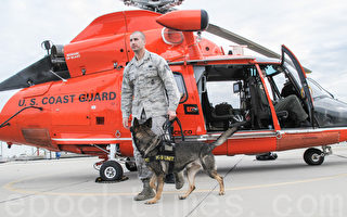 舊金山灣區警犬與直升機集訓 備戰明年超級碗