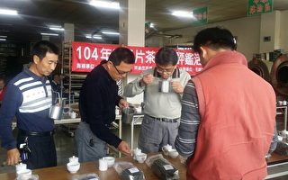 全國冬片茶製茶賽   有機茶農陳訓翔奪冠