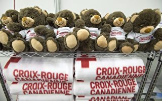 蒙特利尔的红十字会已经为叙利亚难民准备了泰迪熊和毯子的节日礼物。（加通社）