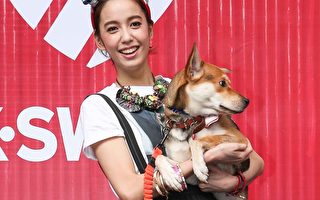 陈庭妮带爱狗做公益 与粉丝提前过圣诞节